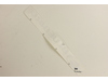 9975517-1-S-Bluebird-539008338-Decal W/logo 15.5