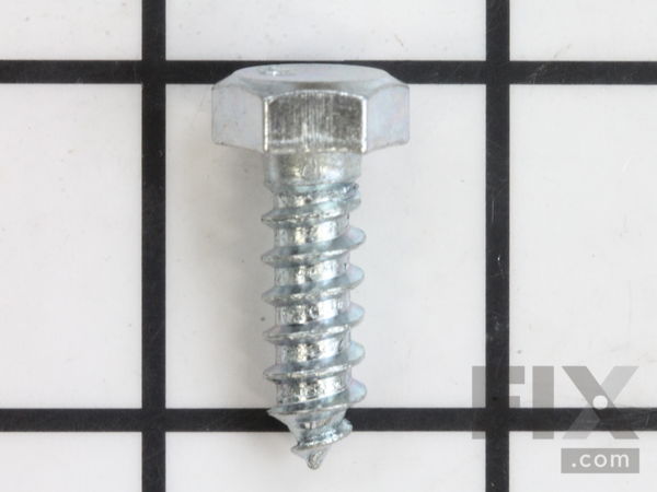 9975733-1-M-Bluebird-539108555-Bolt