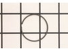 Piston Ring – Part Number: 575227901