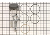Piston Assembly – Part Number: 590406