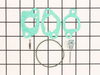Kit-carb Overhaul – Part Number: 592424