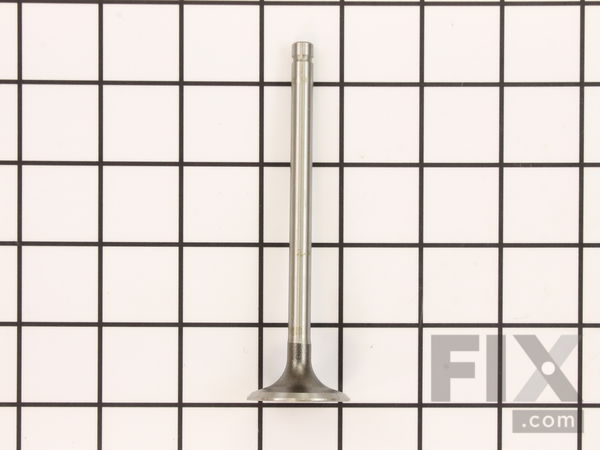 9985701-1-M-Kohler-6201602-S-Valve: Exhaust