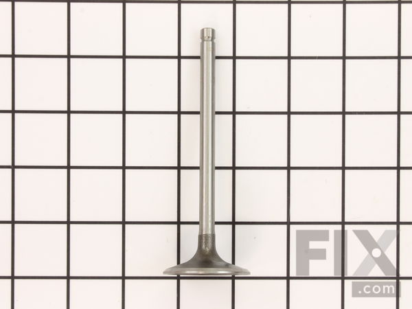 9985703-1-M-Kohler-6201701-S-Valve: Intake