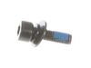 9989333-1-S-Toro-660351001-Screw-Pan HD