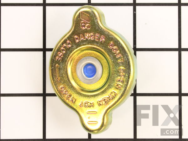9989891-1-M-Kohler-6617301-S-Cap: Radiator