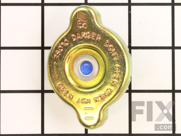 9989894-1-M-Kohler-6617309-S-Cap, Radiator