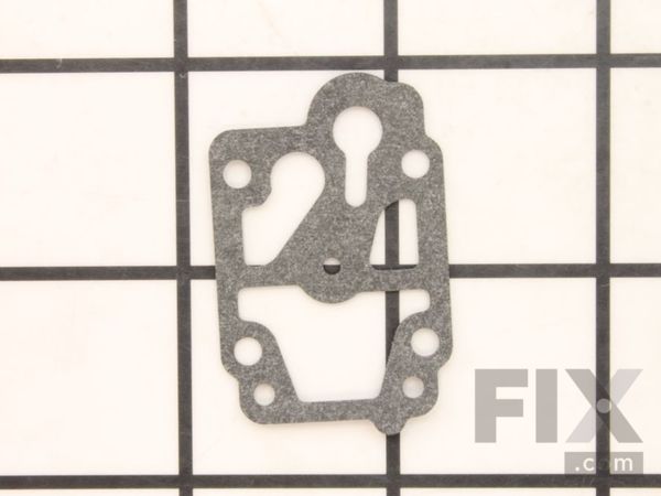9990267-1-M-Tanaka-6684692-Pump Gasket