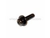 Screw-ps-4x16 – Part Number: 6695374