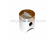 Piston – Part Number: 6695859