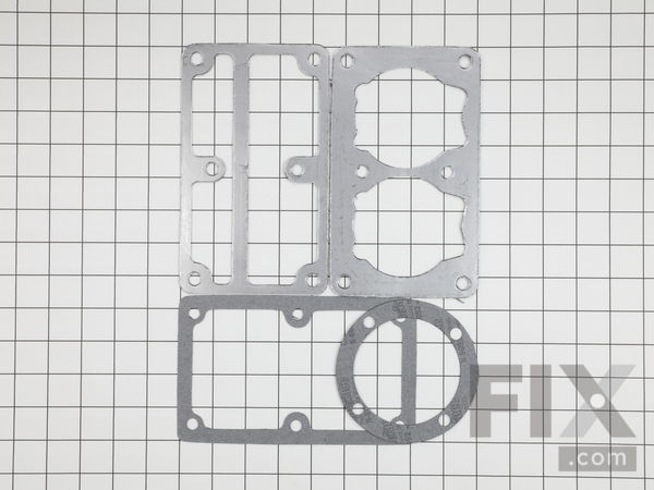 9998185-1-M-Mi-T-M-70-0519-Kit-pump Gaskets