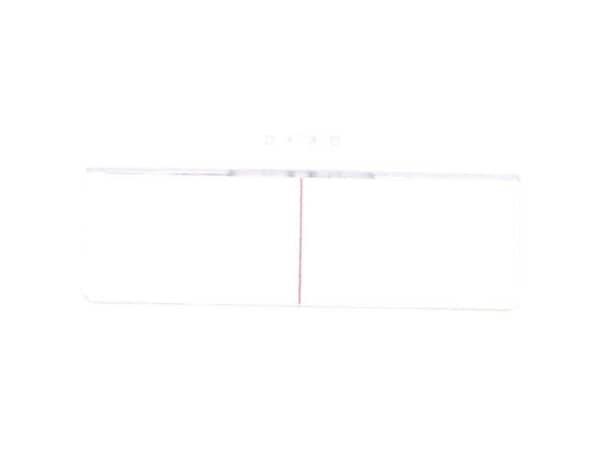10075308-1-S-Ryobi-0181010243-Scale Indicator 360 view