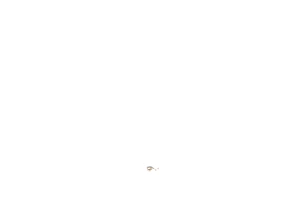 10184064-1-S-DeWALT-662999-00-Spring 360 view