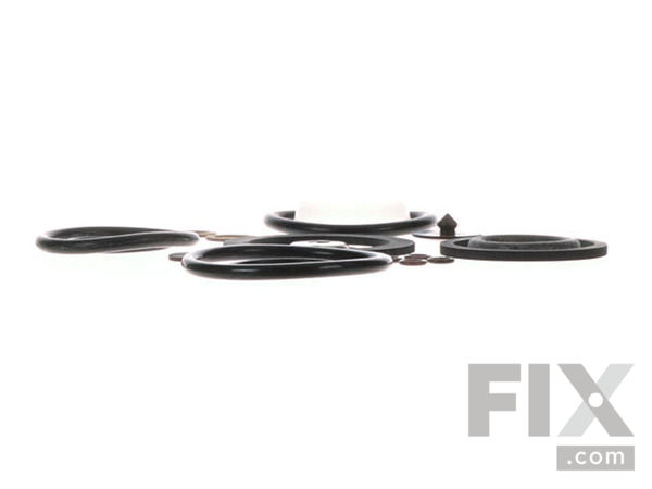 10290327-1-S-Chapin-6-1925-Seal And Gasket Kit 360 view