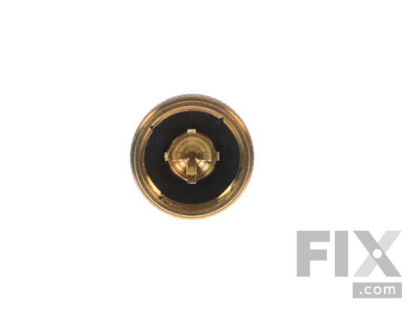 12164177-1-S-Coleman-3000005086-Filler Cap 360 view