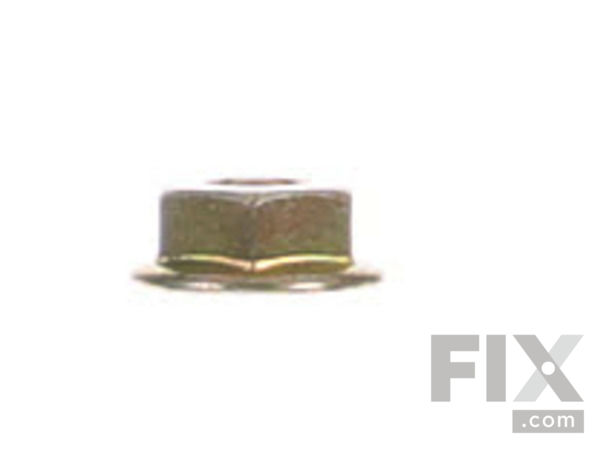 12613495-1-S-Ariens-06500824-Nut 360 view