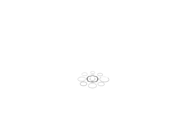 16688025-1-S-DeWALT-N566195-O-ring Kit 360 view