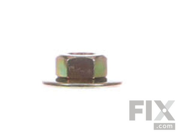 8935666-1-S-Echo-25091606210-Nut 360 view