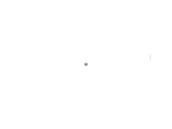 9427092-1-S-Echo-17723606910-Screw 360 view