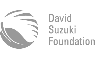 David Suzuki Foundation